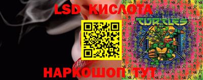 прущие грибы Краснодар