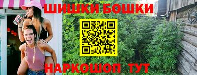 прущие грибы Краснодар
