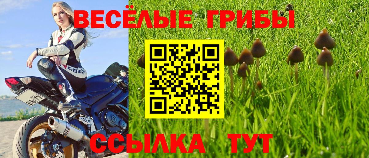 Галлюциногенные грибы ЛСД Клинцы